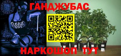каннабис Кунгур